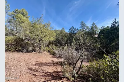 19 N Elk Rub Lane #19, Pine, AZ 85544 - Photo 8