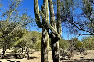 35078 N Sophora Dr, Carefree, AZ 85377 - Photo 42