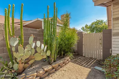 6243 W Cholla Street, Glendale, AZ 85304 - Photo 4
