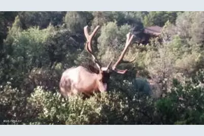 1201&1203 W Chatham Drive, Payson, AZ 85541 - Photo 16