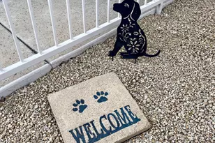 7402 E Hum Rd, Carefree, AZ 85377 - Photo 16