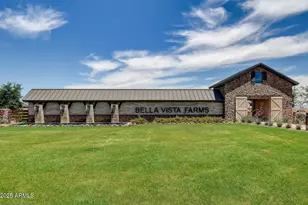 4009 E Haley Dr, San Tan Valley, AZ 85143 - Photo 4