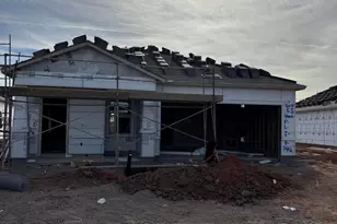 4009 E Haley Dr, San Tan Valley, AZ 85143 - Photo 2