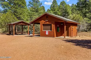 4881 Tatanka Dr, Show Low, AZ 85901 - Photo 22