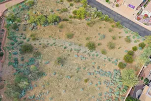 2707 E Gelding Dr, Phoenix, AZ 85032 - Photo 8