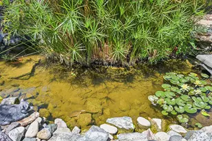 8362 W Michelle Dr, Peoria, AZ 85382 - Photo 42