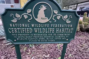 1518 W Windsor Ave, Phoenix, AZ 85007 - Photo 10