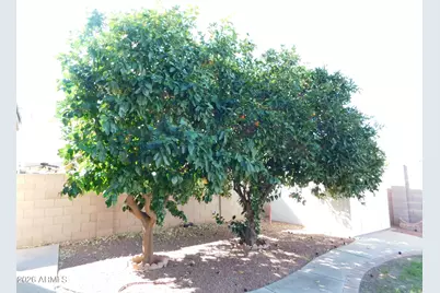 10458 E El Moro Avenue, Mesa, AZ 85208 - Photo 16