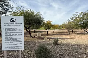 13319 W Solano Dr, Litchfield Park, AZ 85340 - Photo 62