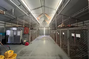 7431 N Alsup Ave, Litchfield Park, AZ 85340 - Photo 16