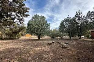 2927 Wildcat Trail, Overgaard, AZ 85933 - Photo 6