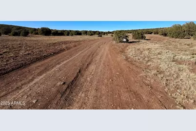 201 County Rd N8715 -- #-, Concho, AZ 85924 - Photo 8