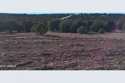 201 County Rd N8715 -- #-, Concho, AZ 85924 - Photo 10