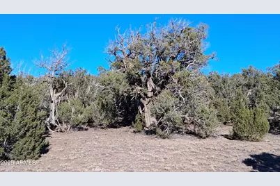 201 County Rd N8715 -- #-, Concho, AZ 85924 - Photo 20