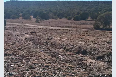 201 County Rd N8715 -- #-, Concho, AZ 85924 - Photo 14
