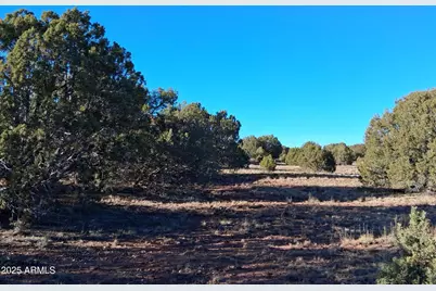 5 County Rd N8285 -- #-, Concho, AZ 85924 - Photo 6