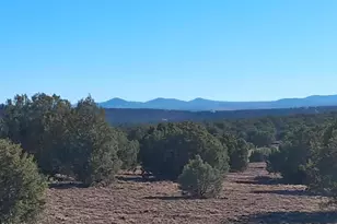 19 County Rd N8285 --, Concho, AZ 85924 - Photo 1