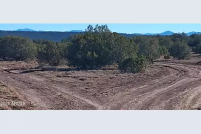 19 County Rd N8285 -- #-, Concho, AZ 85924 - Photo 12