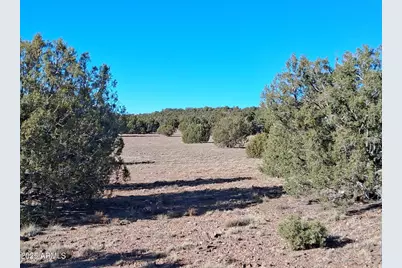 19 County Rd N8285 -- #-, Concho, AZ 85924 - Photo 18