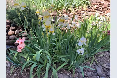 10580 E Swinging Bridge Lane, Cornville, AZ 86325 - Photo 34