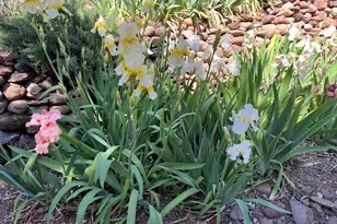 10580 E Swinging Bridge Ln, Cornville, AZ 86325 - Photo 34
