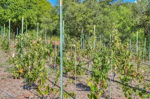 10580 E Swinging Bridge Ln, Cornville, AZ 86325 - Photo 50