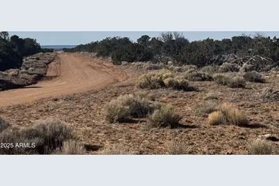 Lot 98 Woodland Valley Ranch -- #98, Saint Johns, AZ 85936 - Photo 2