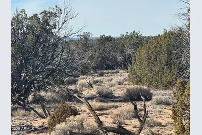Lot 98 Woodland Valley Ranch -- #98, Saint Johns, AZ 85936 - Photo 6