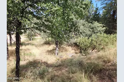 910 N Beeline Highway #89, Payson, AZ 85541 - Photo 4