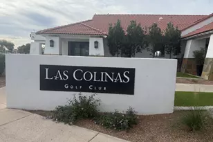 22609 S 214th Way, Queen Creek, AZ 85142 - Photo 30