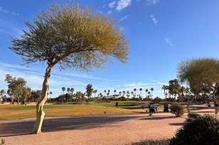 15948 W Sheila Ln, Goodyear, AZ 85395 - Photo 4