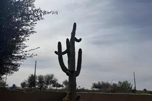 4655 E Quail Brush Rd, Cave Creek, AZ 85331 - Photo 6