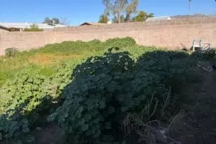 636 N 94th Way, Mesa, AZ 85207 - Photo 6