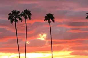 4927 E Crescent Ave, Mesa, AZ 85206 - Photo 60