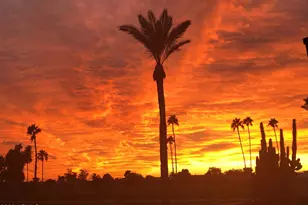 4927 E Crescent Ave, Mesa, AZ 85206 - Photo 52