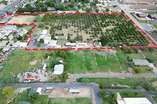 3131 N Gilbert --, Mesa, AZ 85203 - Photo 6