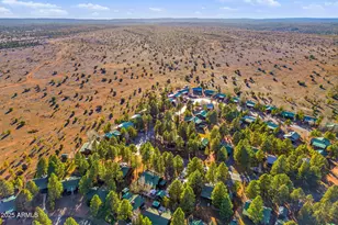 2677 Palomino Trail, Overgaard, AZ 85933 - Photo 38