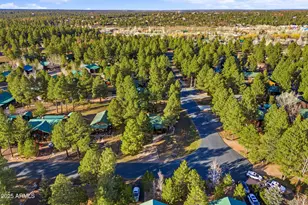 2677 Palomino Trail, Overgaard, AZ 85933 - Photo 40