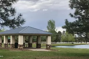 2677 Palomino Trail, Overgaard, AZ 85933 - Photo 48