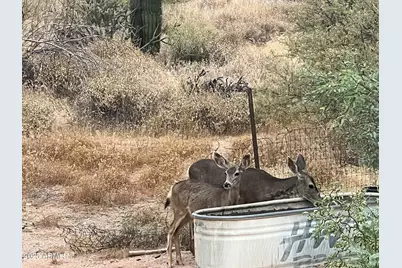26630 N 162nd Street, Scottsdale, AZ 85262 - Photo 42