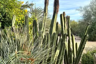 5440 E 7 Palms Dr, Cave Creek, AZ 85331 - Photo 12