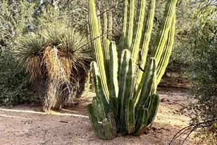 5440 E 7 Palms Dr, Cave Creek, AZ 85331 - Photo 52