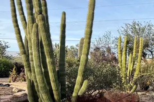 5440 E 7 Palms Dr, Cave Creek, AZ 85331 - Photo 56