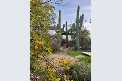 5440 E Seven Palms Drive, Cave Creek, AZ 85331 - Photo 24