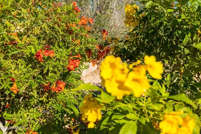 18788 E Blue Sky Drive, Rio Verde, AZ 85263 - Photo 70