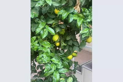 11425 E University Drive #49, Apache Junction, AZ 85120 - Photo 18