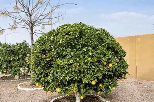 8240 E Calypso Ave, Mesa, AZ 85208 - Photo 30