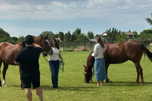 37262 N Sierra Vista Dr, San Tan Valley, AZ 85140 - Photo 32