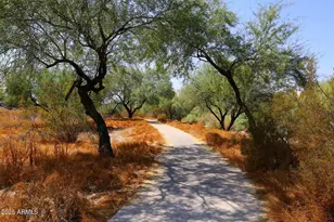 420 W Sandra Ter, Phoenix, AZ 85023 - Photo 30