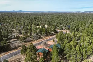 2999 Deer Path, Happy Jack, AZ 86024 - Photo 40